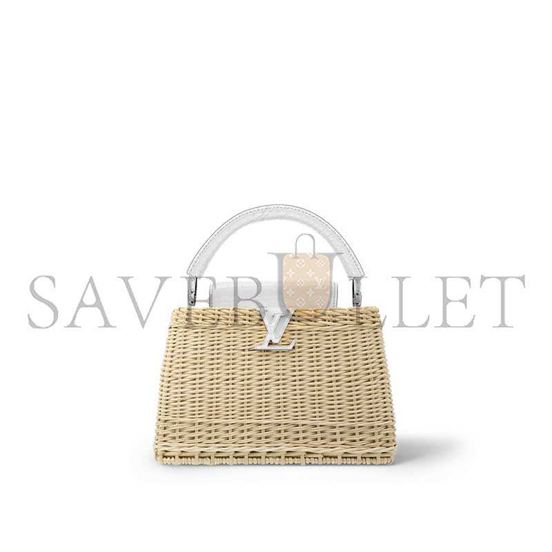 LOUIS VUITTON CAPUCINES BB N85520 (27*17*14cm) 